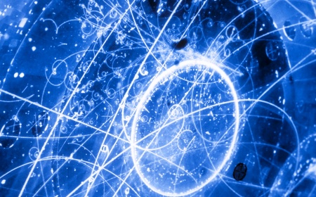 Neutrinos: Ghosts of the Universe