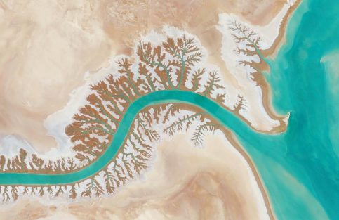 Dendritic drainage systems are seen around the Shadegan Lagoon by Musa Bay in Iran. The word ‘dendritic’ refers to the pools’ resemblance to the branches of a tree, and this pattern develops when streams move across relatively flat and uniform rocks, or over a surface that resists erosion.